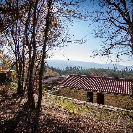 Casas Dos Avos Guest House Вале де Камбра Стая снимка