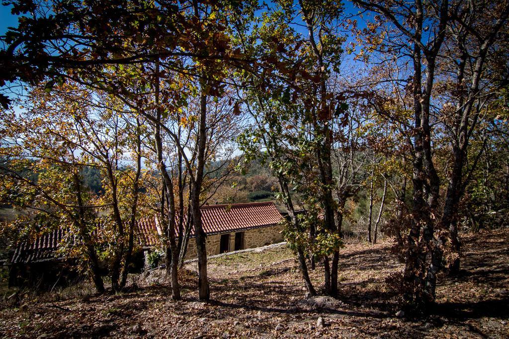 Casas Dos Avos Guest House Вале де Камбра Стая снимка