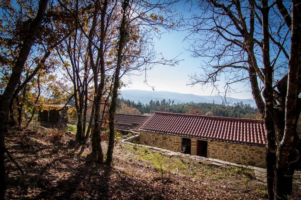 Casas Dos Avos Guest House Вале де Камбра Стая снимка