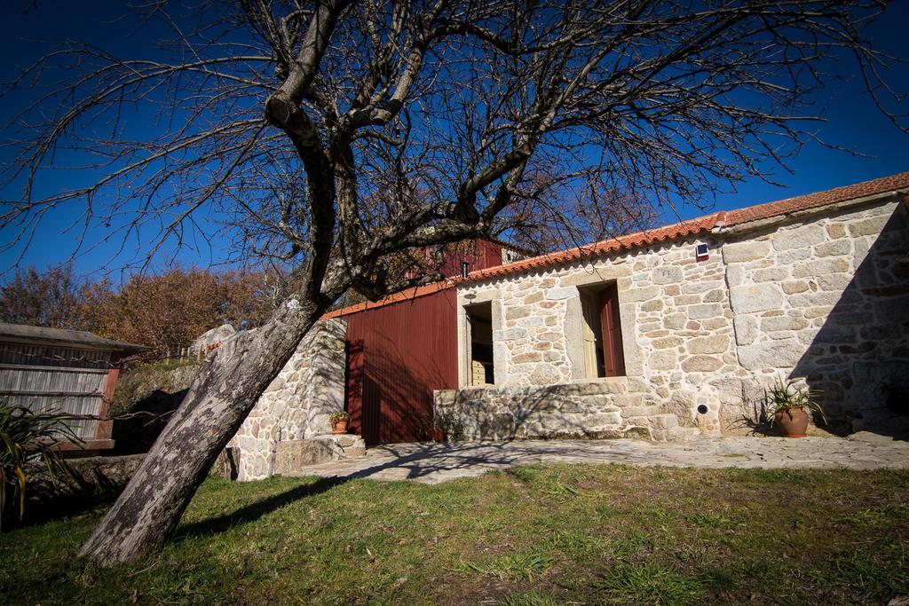 Casas Dos Avos Guest House Вале де Камбра Стая снимка
